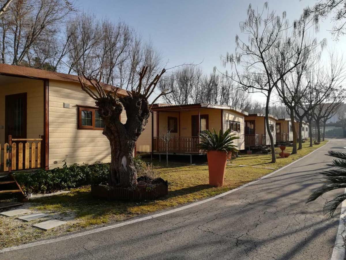 L'Oasi Di Lulu' Hotel Senigallia Buitenkant foto